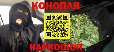 прущие крисы Гусев